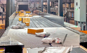 parcel singulation by visicon capella system