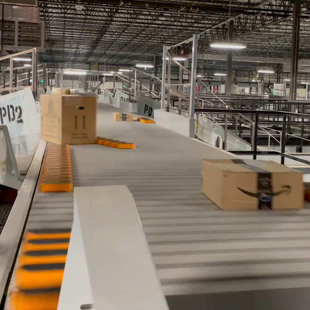 shoe sorter in parcel handling sortation system