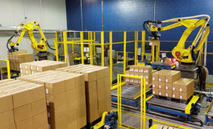 automated robotic palletizing systems robotic cells